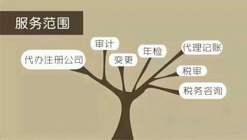長春代理記賬服務(wù)項目詳解 專業(yè)、高效、省心