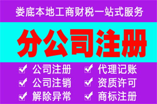 婁星區(qū)分公司注冊與代理記賬服務(wù)的類別解析及優(yōu)惠報價